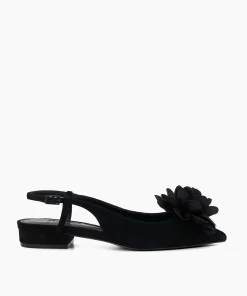 Fashion Harperr - Ballet Pumps