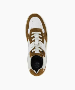 Fashion Ted - Tan Trainers