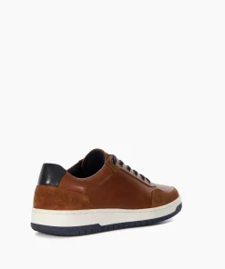New Torino - Tan Trainers